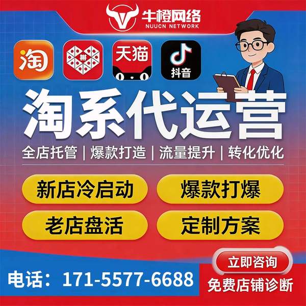 三亚电商代运营