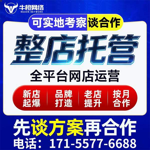 三亚电商代运营