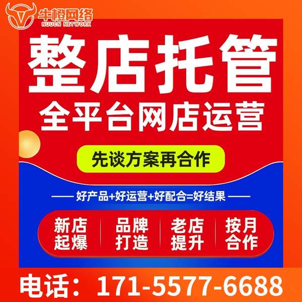 三亚电商代运营