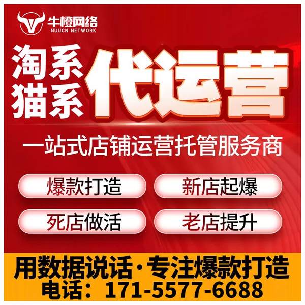 三亚电商代运营